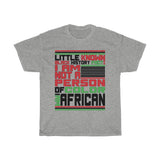 Little Known Black History Fact: I Am Not A Person Of Color I Am African T-Shirt