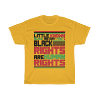 Little Known Black History Fact: Black Rights Are Human Rights T-Shirt