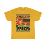 Little Known Black History Fact: I Am Not A Person Of Color I Am African T-Shirt