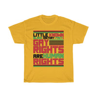 Little Known Black History Fact: Gay Rights Are Human Rights T-Shirt